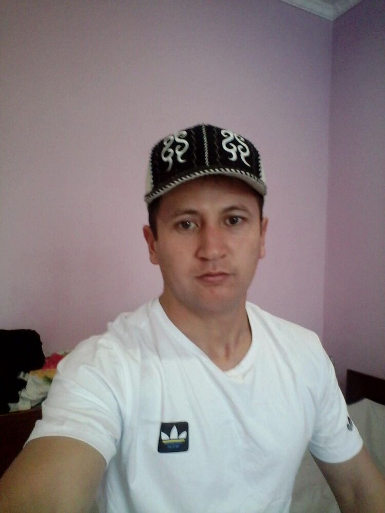  33854558  , 38 ,    