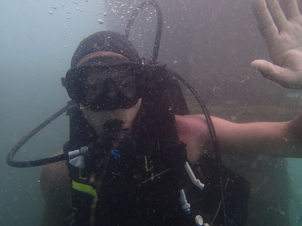 ���������� ����������, ���� ������� Denchik, 44 ����, ������������ ��� ������, ����� � ���������, c�������� ���������