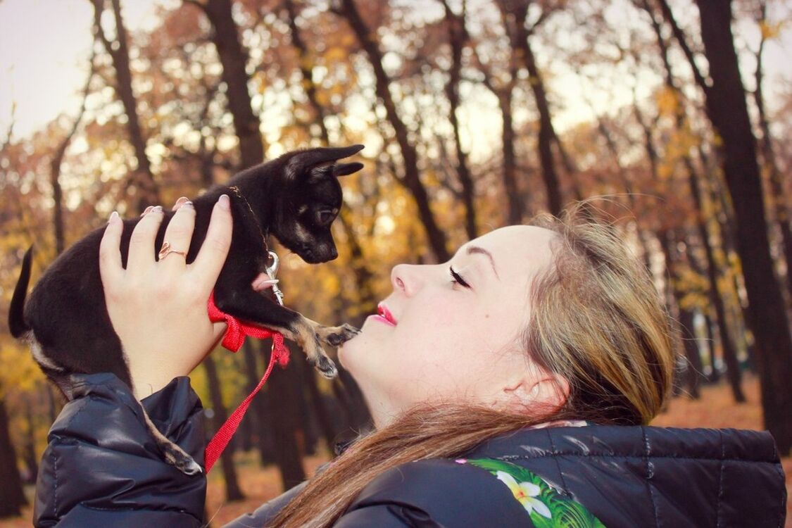 ���������� �����, ���� ������� ��������, 39 ���, ������������ ��� ����� � ���������, c�������� ���������