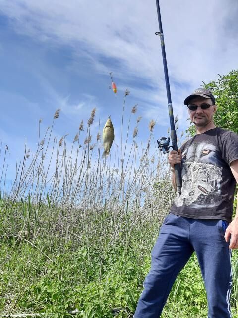 ���������� ������, ���� ������� ���������, 40 ���, ������������ ��� ������, ����� � ���������