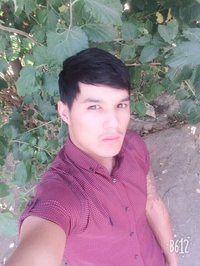 ���� 56003518 ������� ������, 33 ����, ���� ���������� � ��������