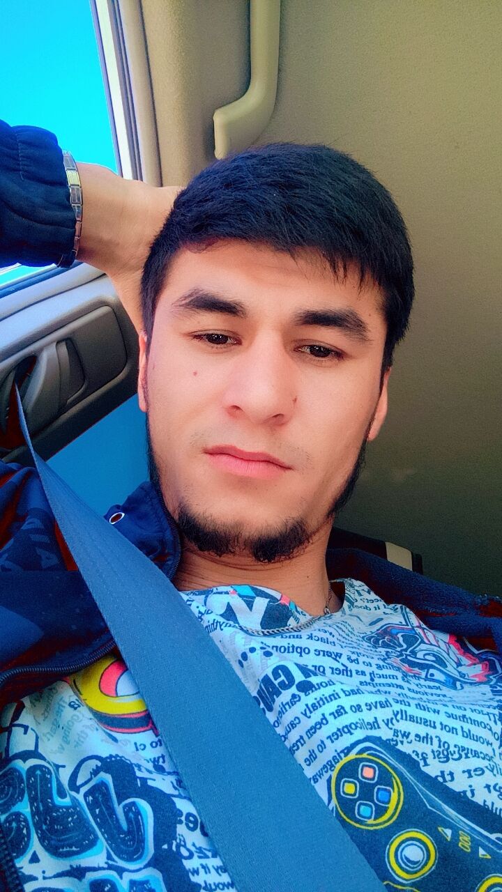  53334768  , 28 ,    -