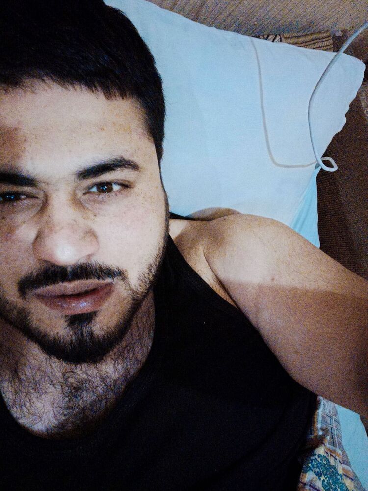  31528408  , 35 ,    -