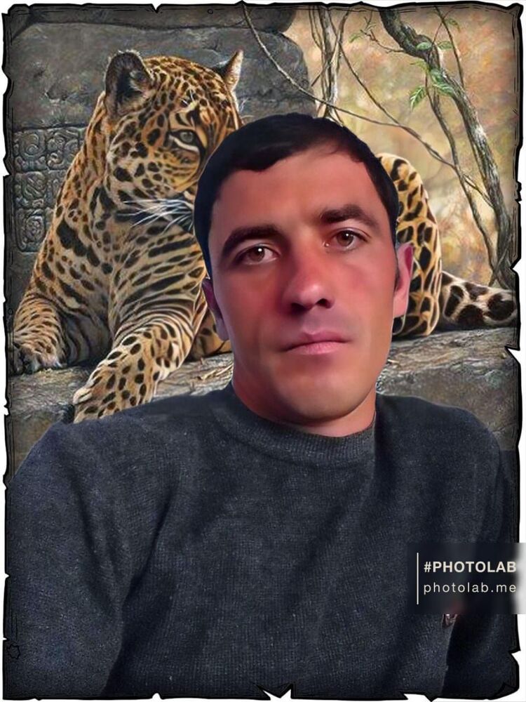  37567938  , 36 ,    