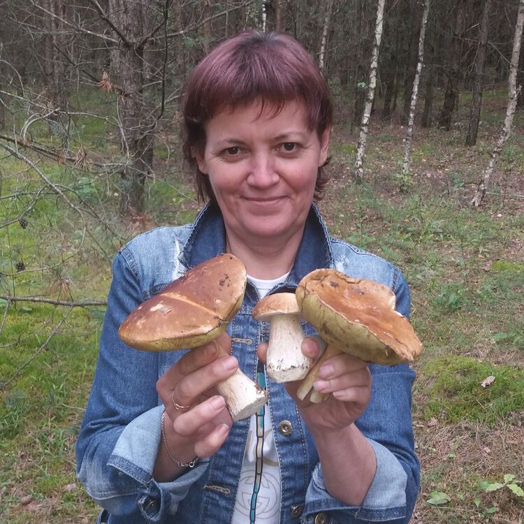  ,   , 56 ,   ,   , c 