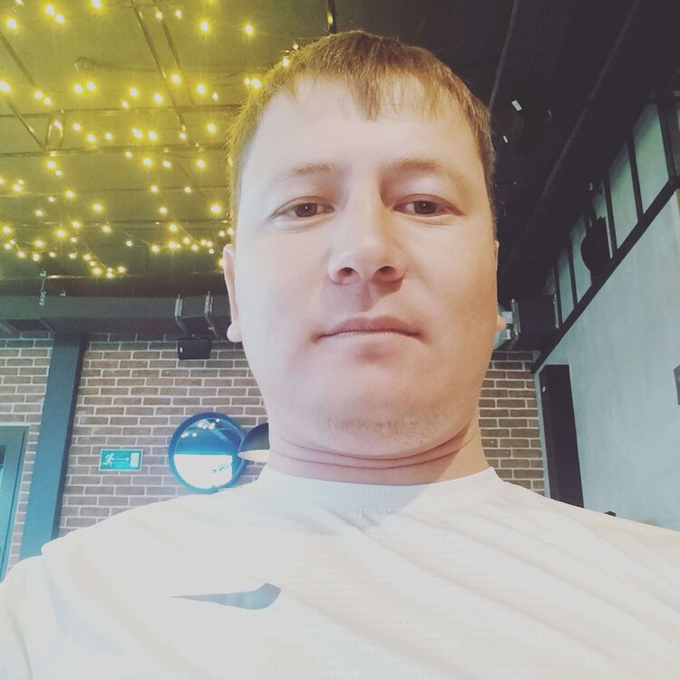  31263378  , 33 ,    