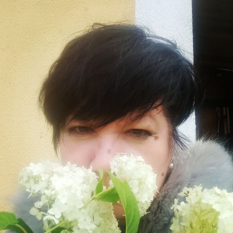  ,   , 51 ,   ,   