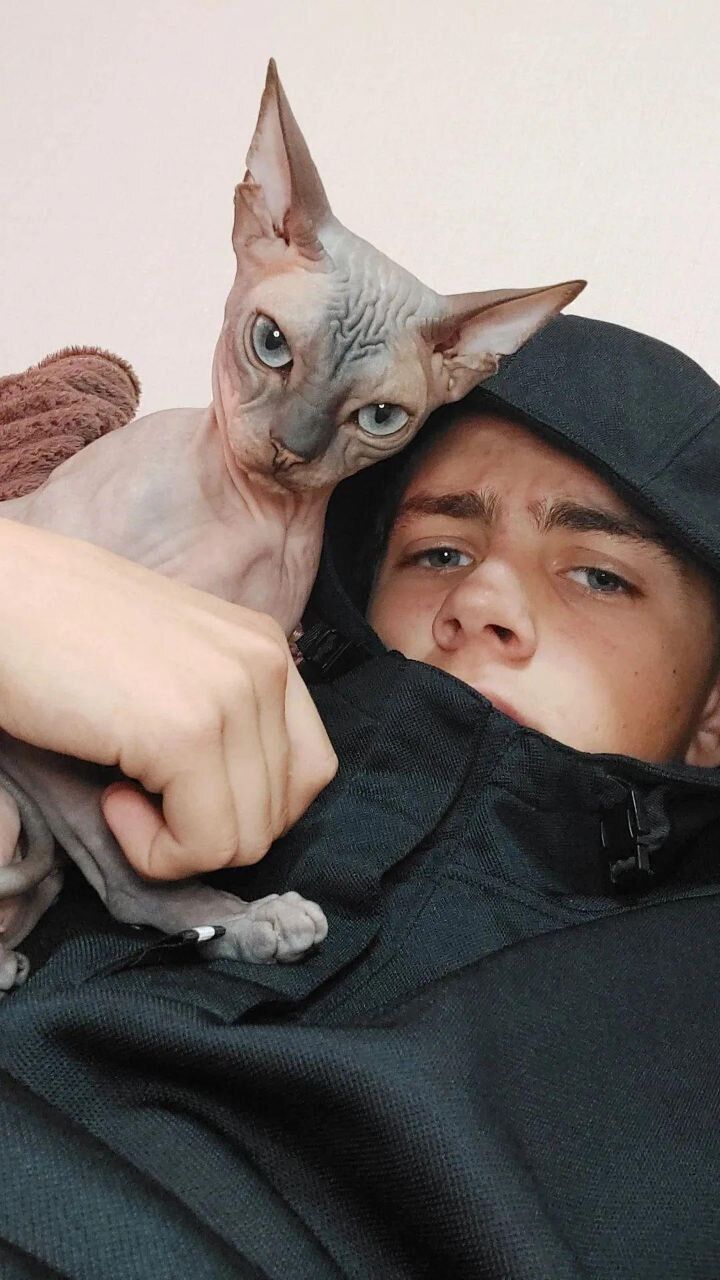 ���� 30934688 ����� �����, 22 ����, ���� ���������� � ���������������