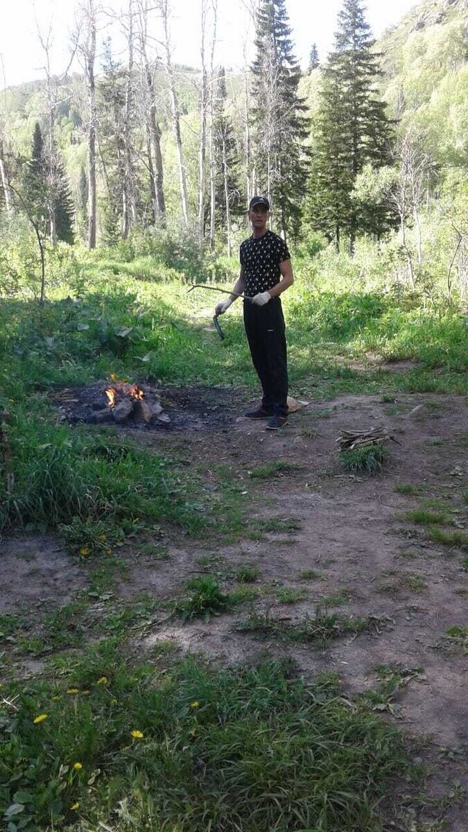  20480098  , 38 ,    -