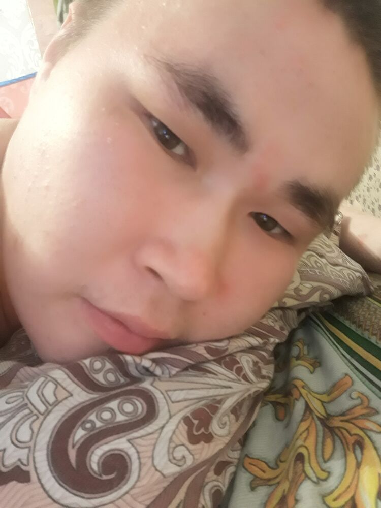  29496798  , 31 ,    