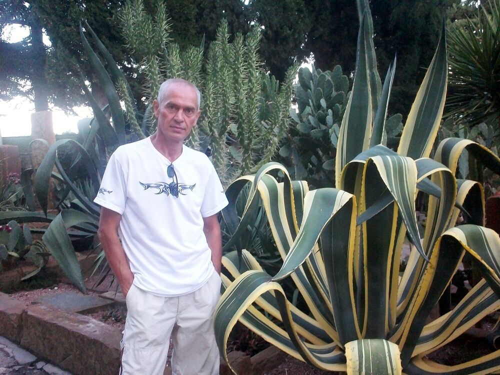  ,   Willi, 56 ,     , c 