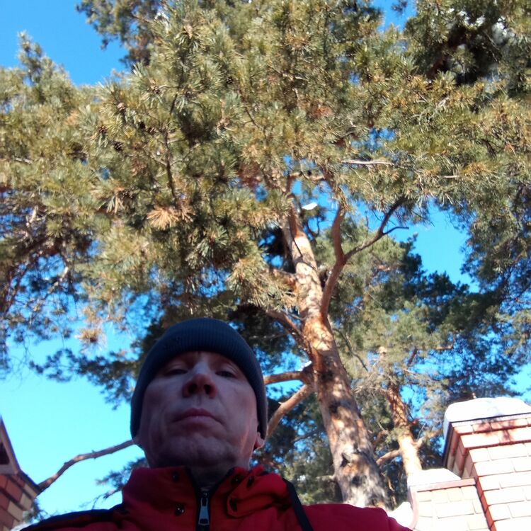 ���� 55522338 ������� Andre Bor, 45 ���, ���� ���������� � �������