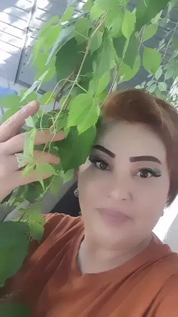 ���� 45369638 ������� �������, 50 ���, ���� ���������� � �������