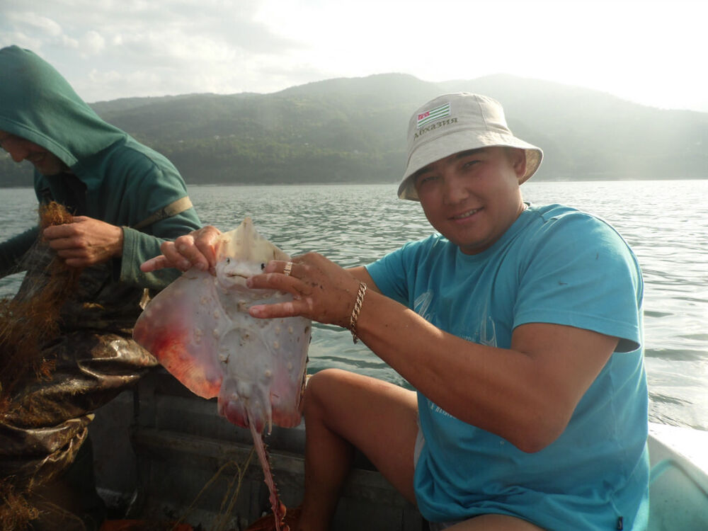 ���� 22806048 ������� �������, 41 ���, ���� ���������� � ����