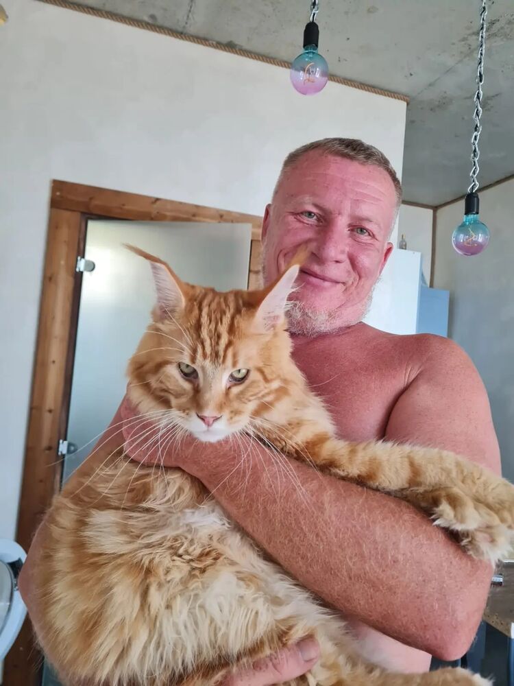 ���������� ����, ���� ������� �������, 44 ����, ������������ ��� ������, ����� � ���������, c�������� ���������