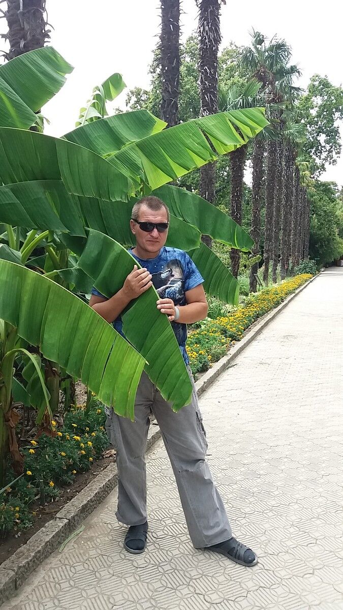 ���� 10613698 ������� ������, 45 ���, ���� ���������� � �������