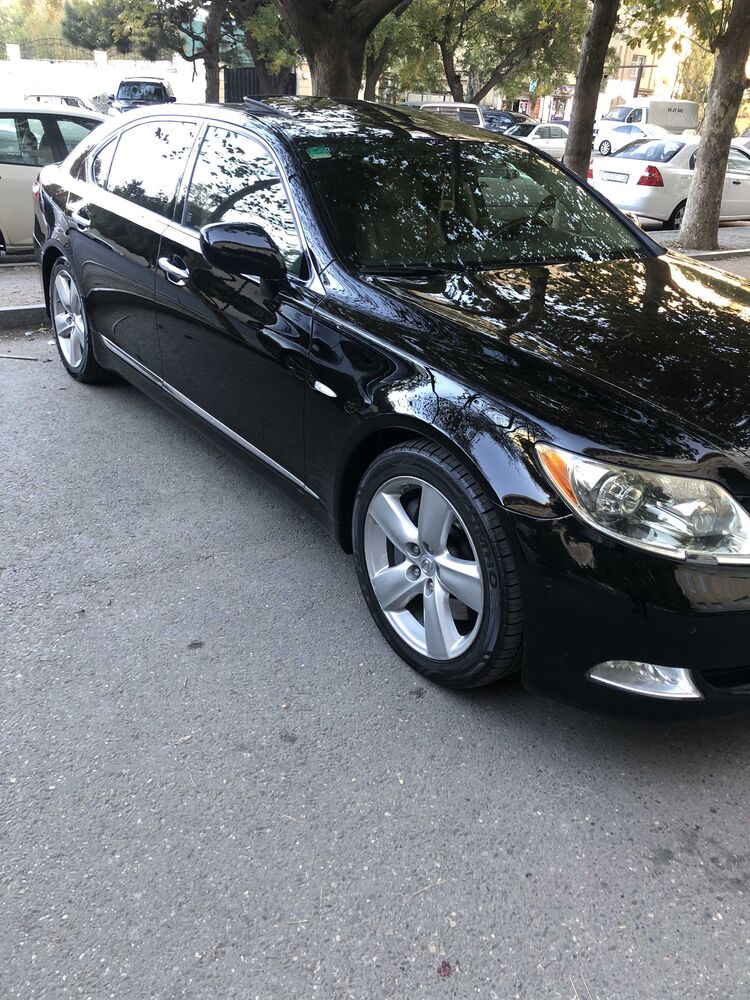 ���� 24429438 ������� Ali, 36 ���, ���� ���������� � ����