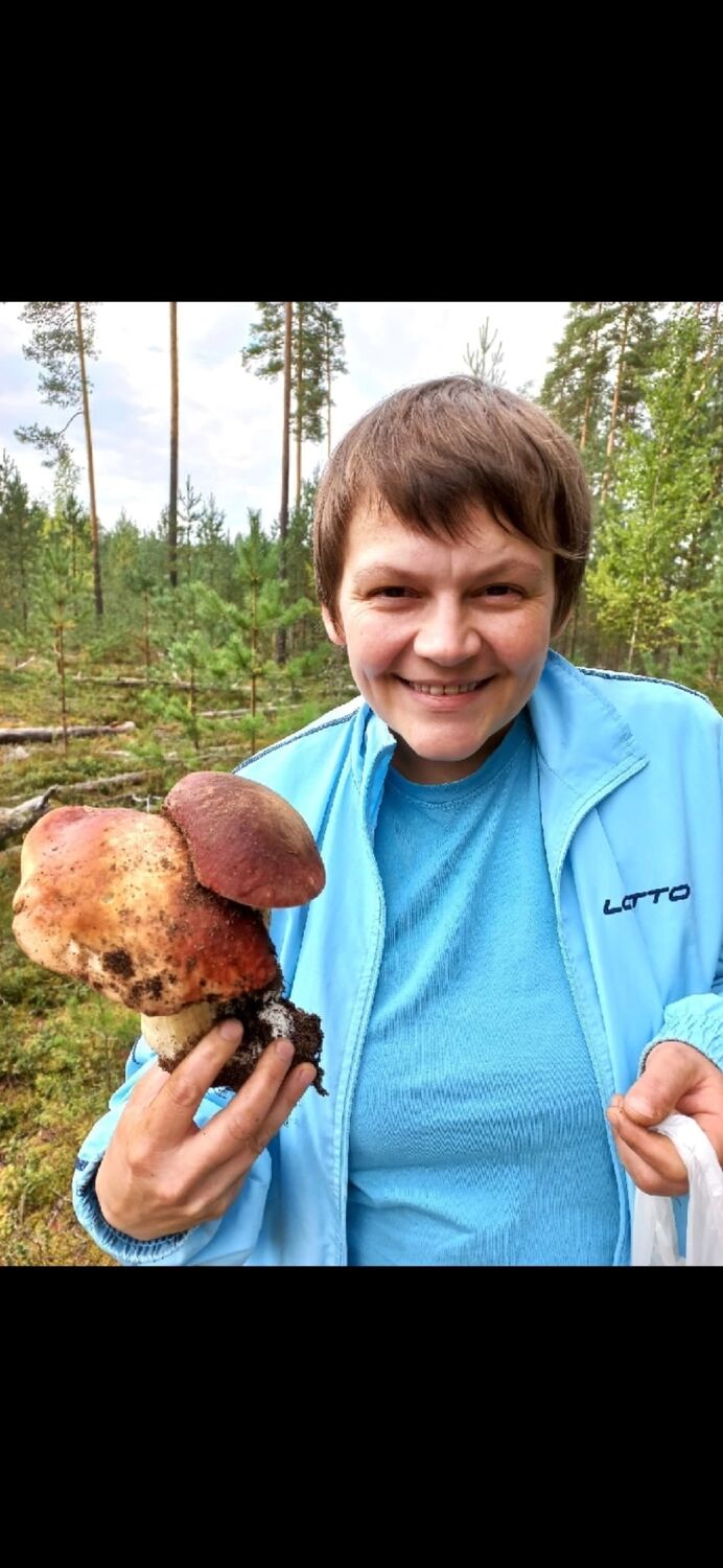  26711018  , 36 ,    -