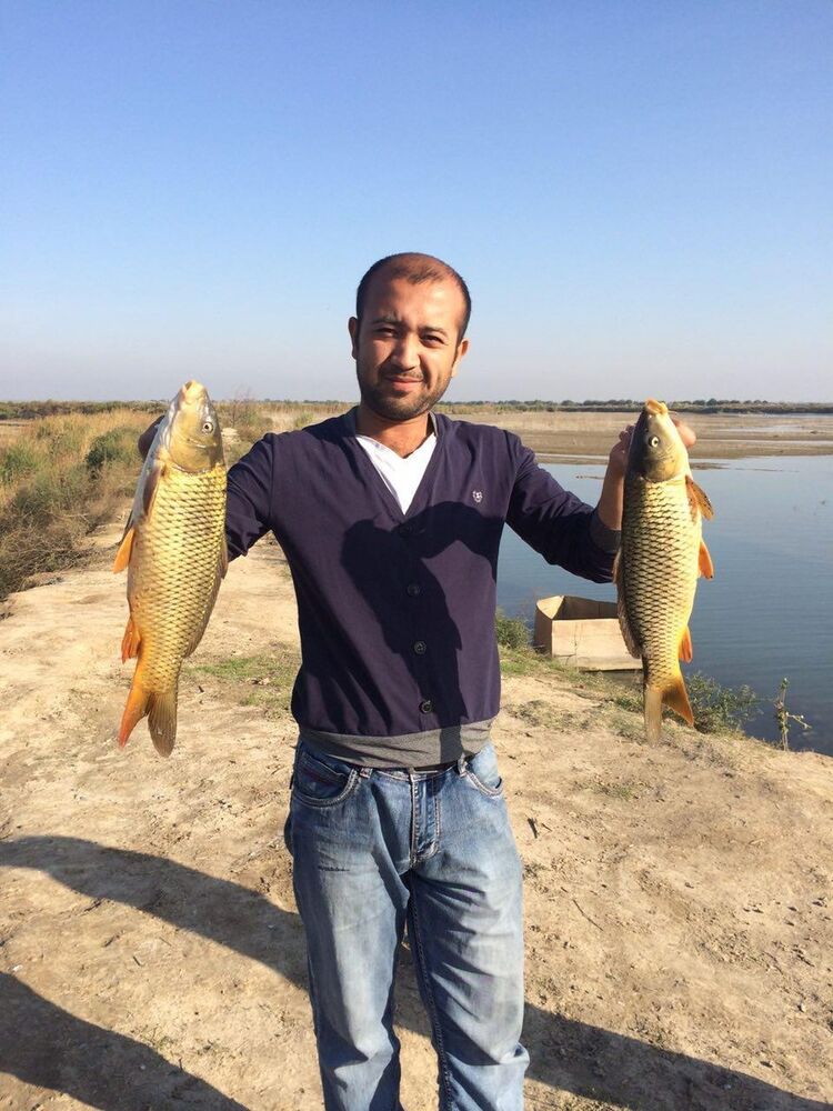  ,   Werxan, 37 ,   