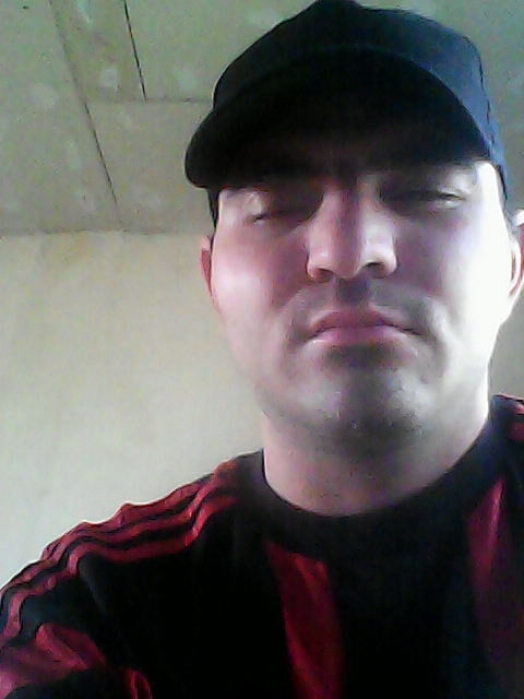  7410958  , 40 ,    