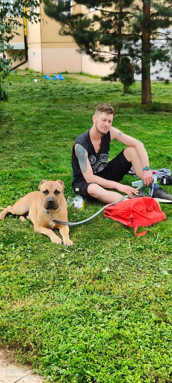 ���������� ������, ���� ������� ������, 40 ���, ������������ ��� ������, ����� � ���������