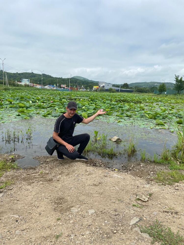 ���������� ���������, ���� ������� ��������, 41 ���, ������������ ��� ������, ����� � ���������, c�������� ���������