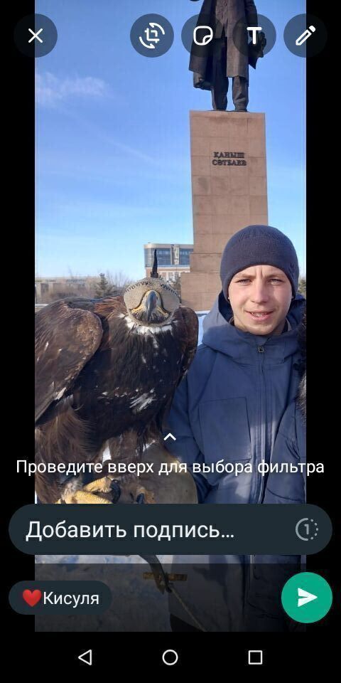 ���� 39816038 ������� ����, 27 ���, ���� ���������� � ���������