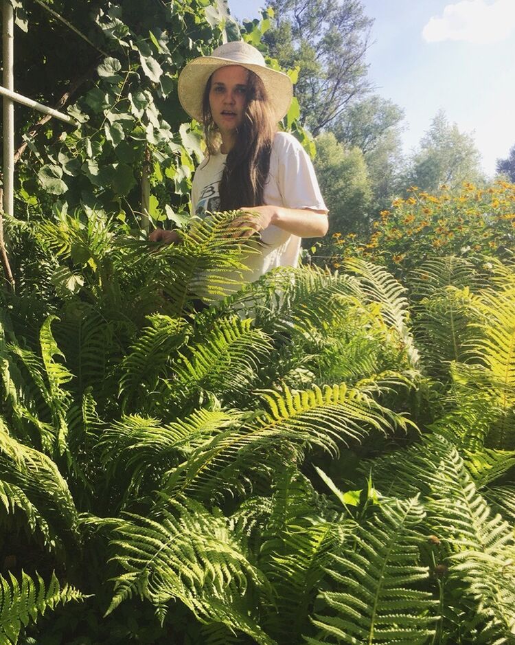 ���������� �����-���������, ���� ������� ��������, 31 ���, ������������ ��� ������, ����� � ���������