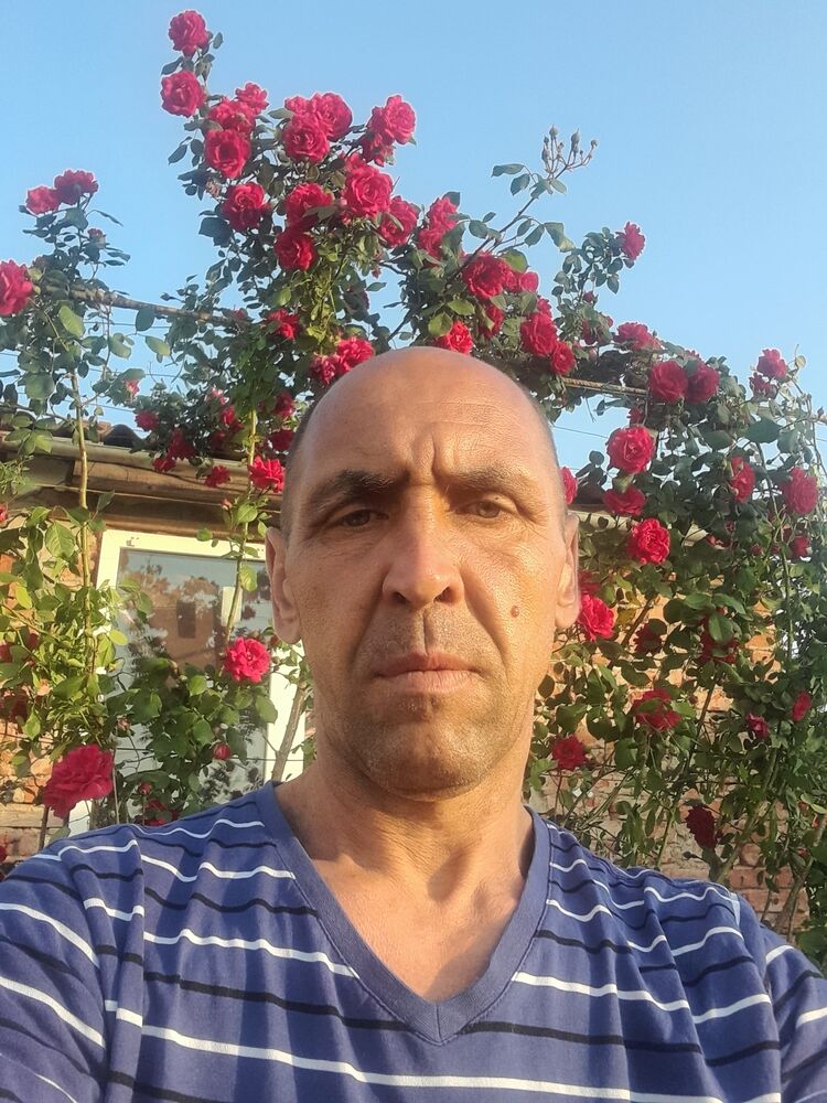  26741738  , 46 ,    