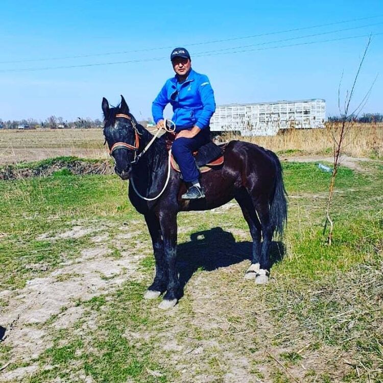 ���� 20358598 ������� �����, 40 ���, ���� ���������� � ������