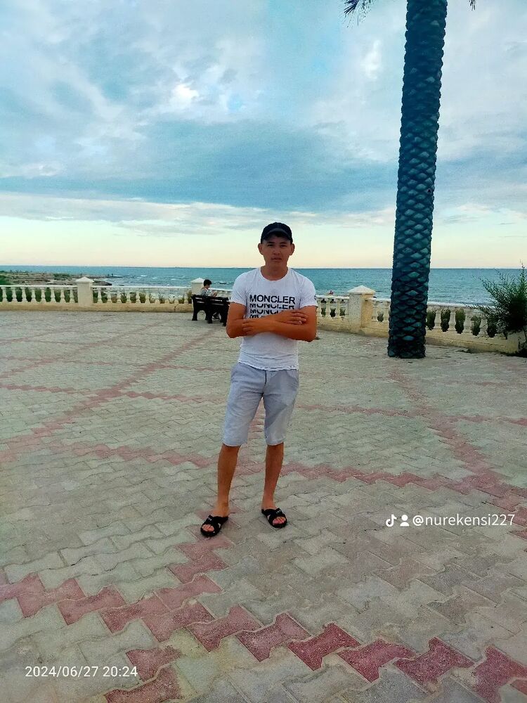  49842278  , 33 ,    
