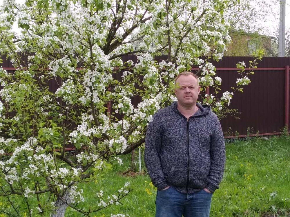 ���� 55875198 ������� �����, 50 ���, ���� ���������� � ���������