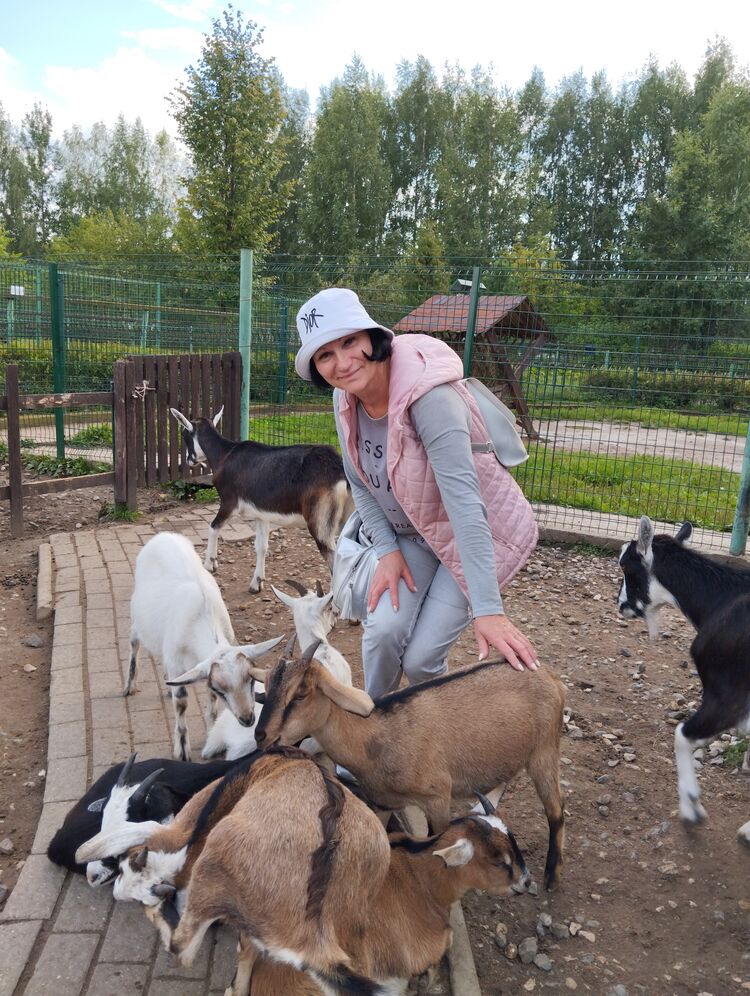 ���������� �������, ���� ������� �����, 49 ���, ������������ ��� ������, ����� � ���������, c�������� ���������, ���������