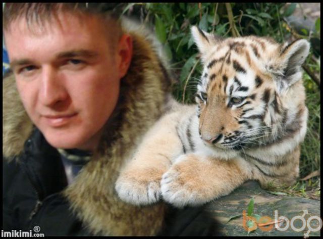  ,   Shmit, 40 ,   