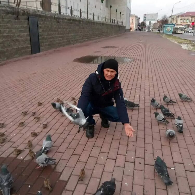 ���������� �����, ���� ������� �����, 28 ���, ������������ ��� ������, ����� � ���������, c�������� ���������