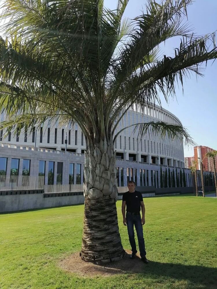 ���� 55150518 ������� ���������, 48 ���, ���� ���������� � �������-��-����