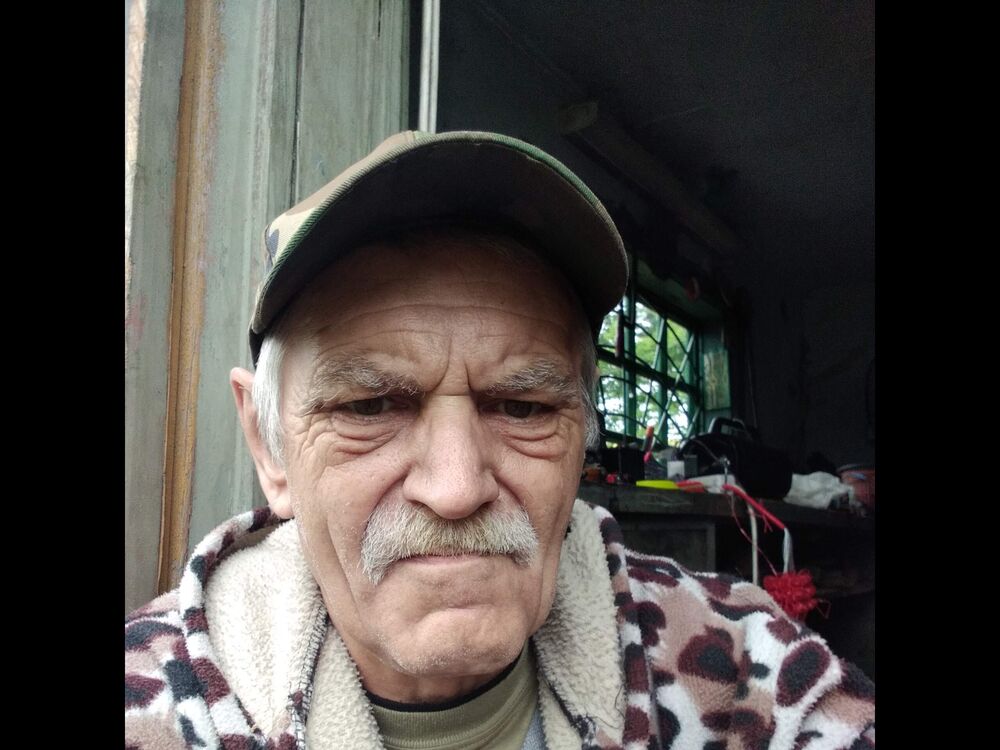 ���� 56138888 ������� Albert, 64 ����, ���� ���������� � �����������