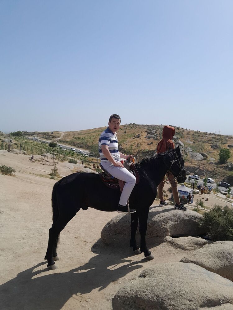 ���� 56156868 ������� ����, 37 ���, ���� ���������� � ������������