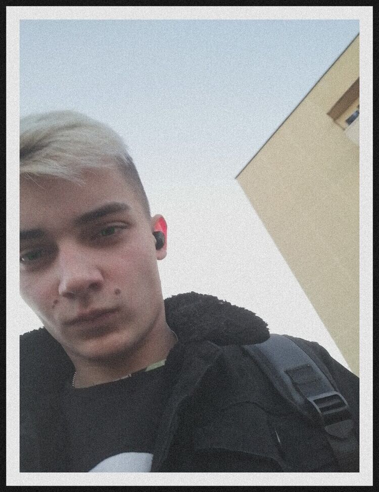  20439998  , 24 ,    