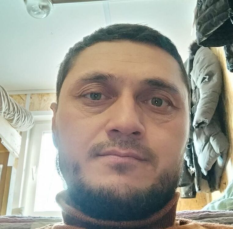  50131528  , 41 ,    