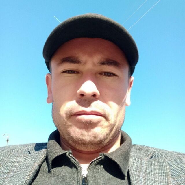  45368198  , 33 ,    