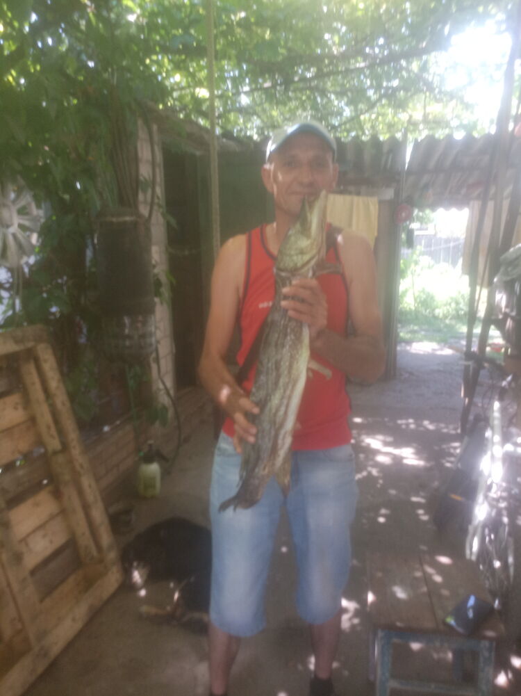  45650328  , 49 ,    