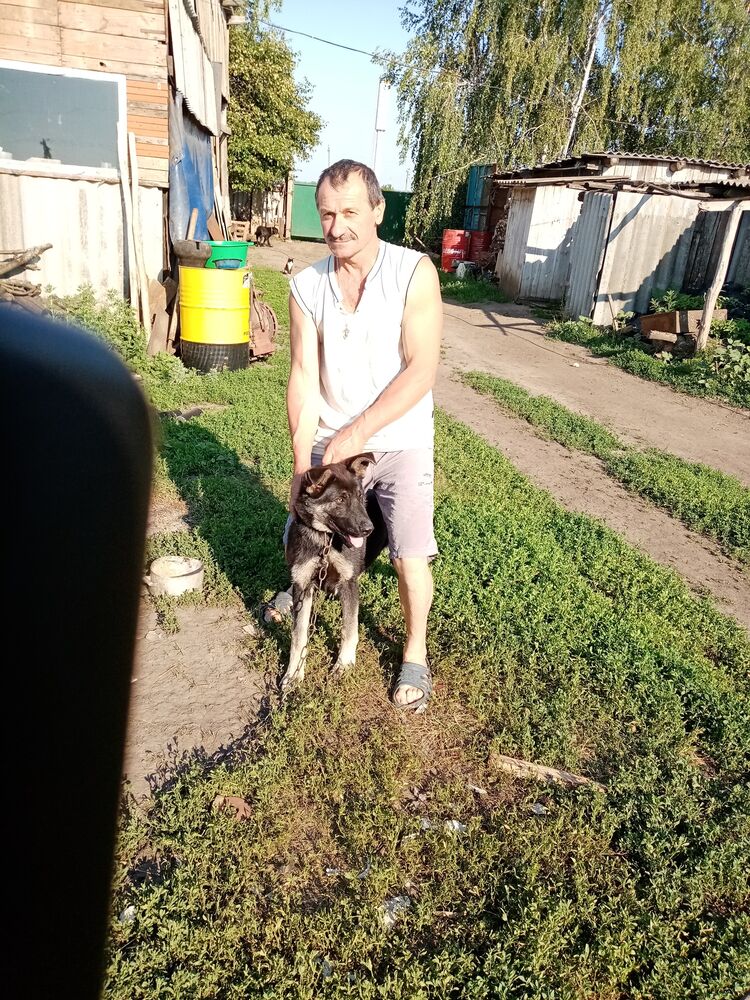  26184398  Nikolay, 56 ,    