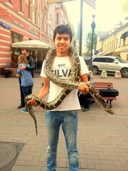 ���� 6645258 ������� M�������, 28 ���, ���� ���������� � �������