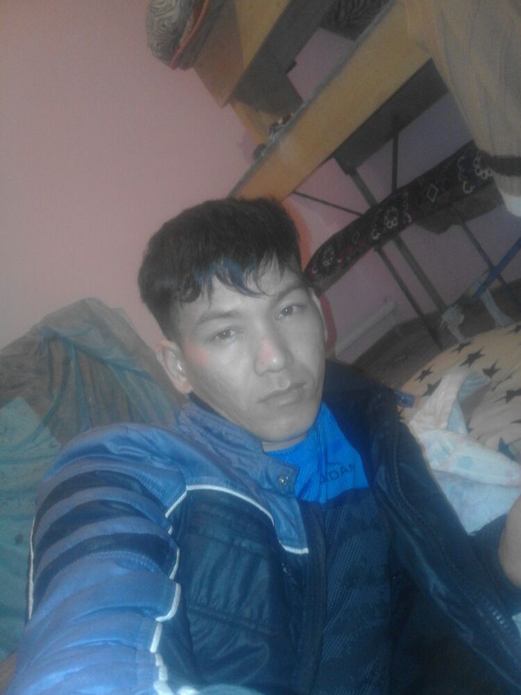 33317248  , 31 ,    