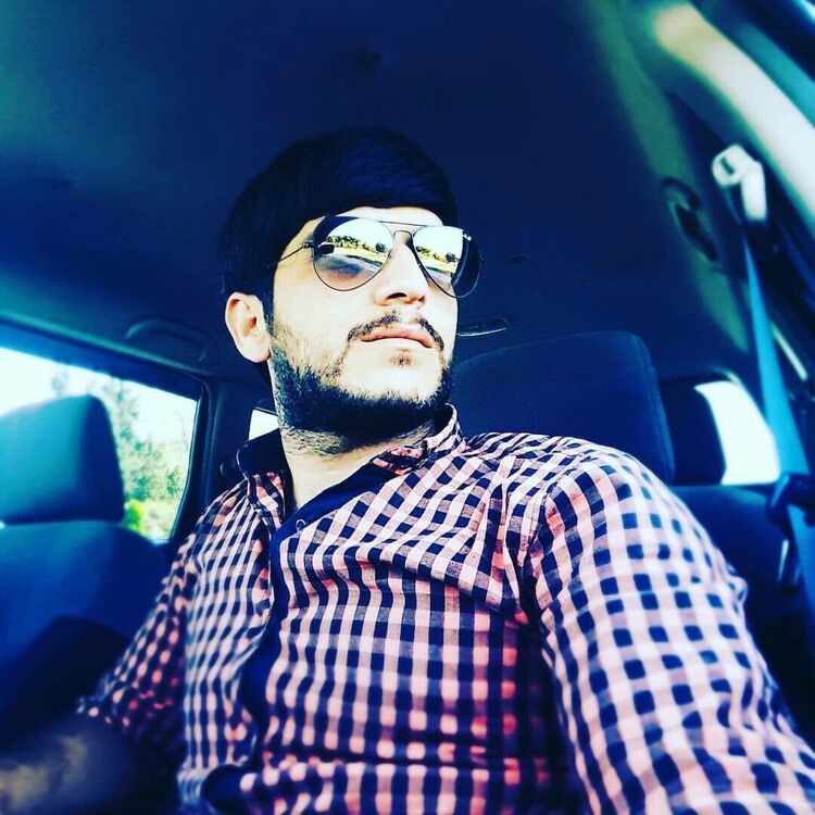  31049468  , 38 ,    -