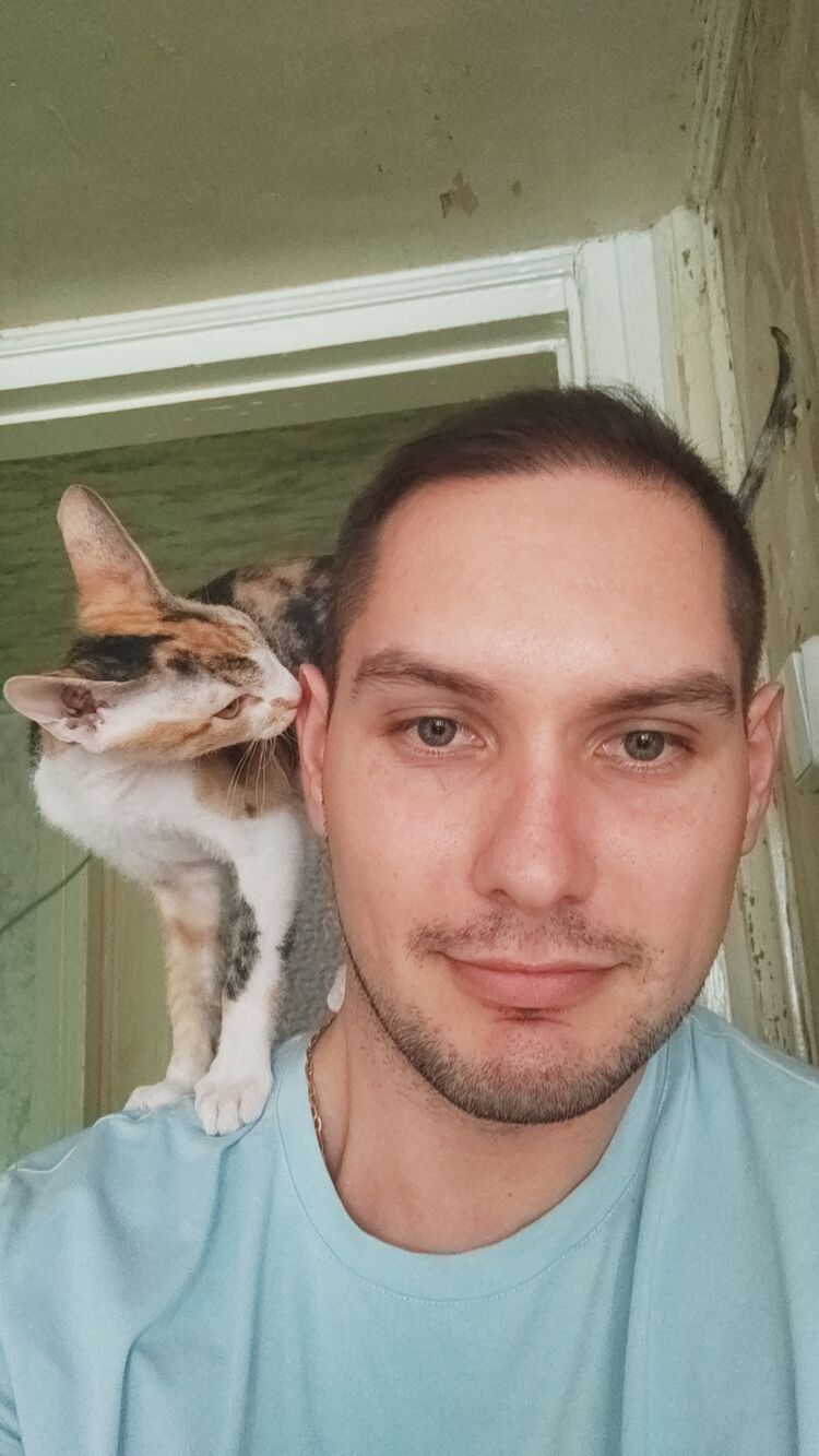  ,   , 34 ,   ,   