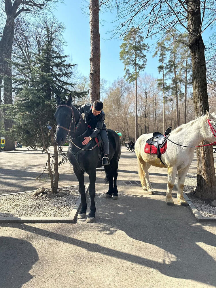 ���� 33777868 ����� �����, 2 ����, ���� ���������� � ������