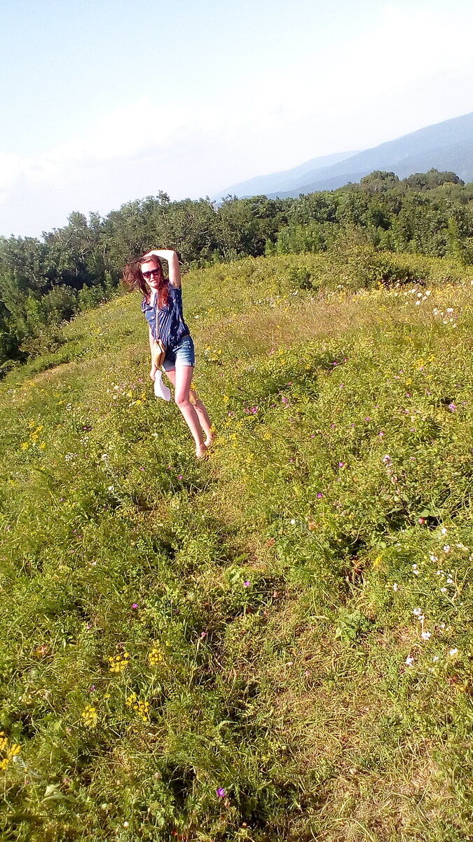  8363138  , 38 ,    -