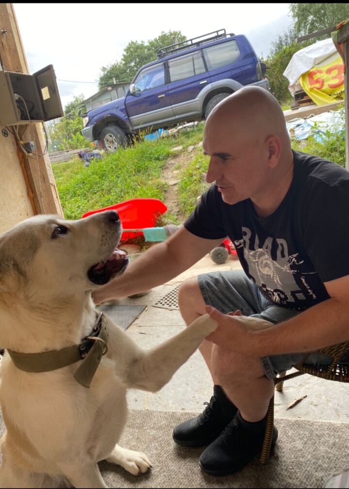  53636958  Andrey, 35 ,    